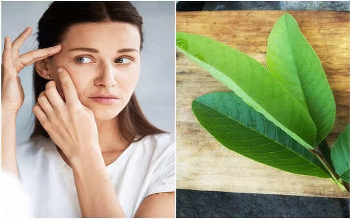 দাঁত, ত্বক ও চুলের যত্নে পেয়ারা পাতা