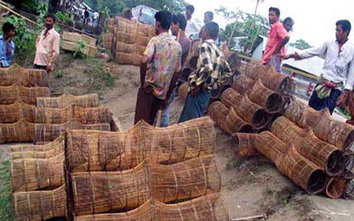 মোহনকাঠীর ২’শ পরিবার চাই তৈরি করে জীবিকা নির্বাহ করছে