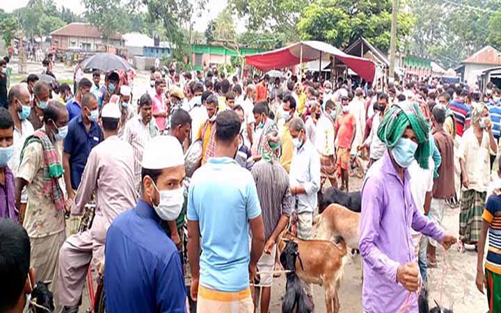 মাইকিং করে হাট বসানোর অভিযোগ, চাটমোহরের সাপ্তাহিক হাটে ব্যাপক জনসমাগম