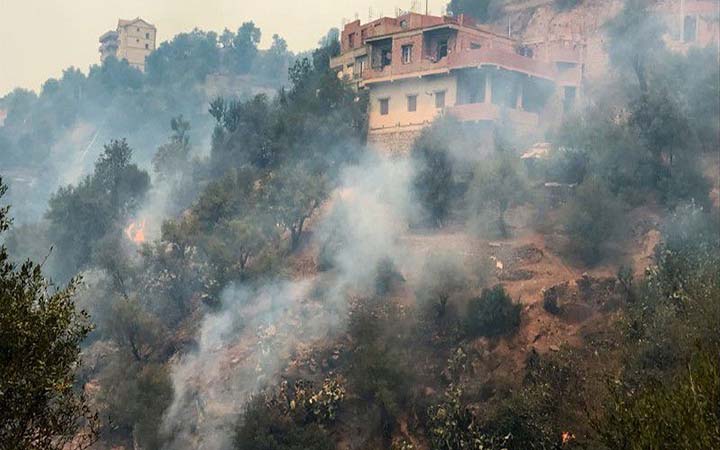 আলজেরিয়ায় ভয়াবহ দাবানলে ২৫ সেনাসহ নিহত ৪২