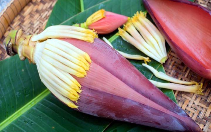 কলার মোচার উপকারিতা
