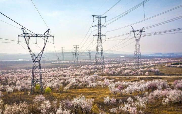 চীনে বড়ো আকারের বিদ্যুৎ সঙ্কটের কারণ কী?