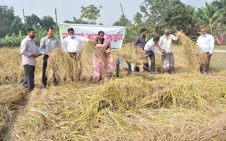নাটোরে ব্লাক রাইসের অভিষেক