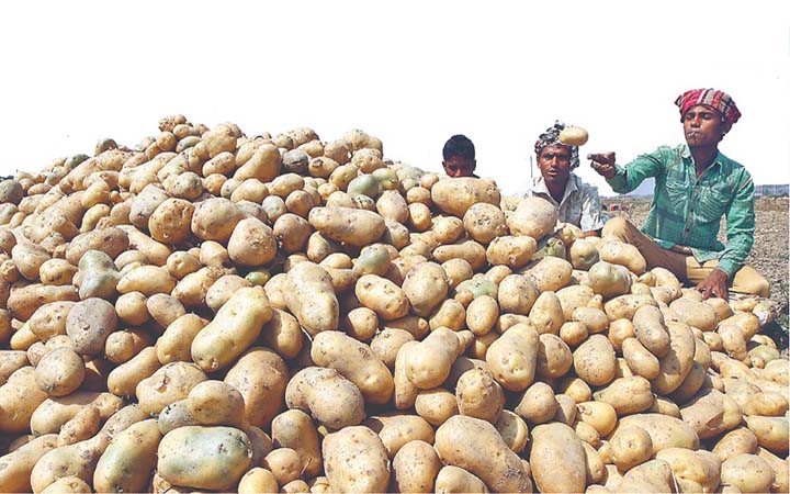 দু-তিন দিনে দাম নিয়ন্ত্রণে না এলে আলু আমদানি