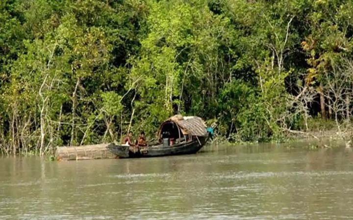 সুন্দরবনে ৩ মাস মাছ ধরা নিষেধ, পর্যটকরা নিষিদ্ধ ২ মাস