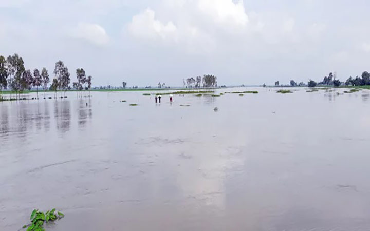 তিস্তার পানি আবারো বিপৎসীমার ওপরে