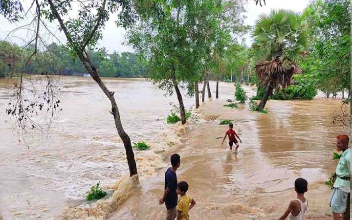 পাহাড়ি ঢলে বাঁধ ভেঙে ফুলগাজীর ৪ গ্রাম প্লাবিত