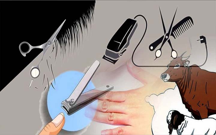 জিলহজের প্রথম ১০ দিন যেসব কাজ থেকে বিরত থাকবেন