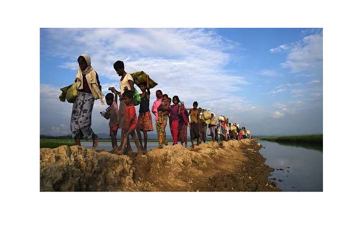 রোহিঙ্গাদের আশ্রয় দেবে ভারত
