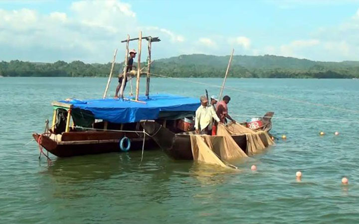 কাপ্তাই হ্রদে মৎস্য আহরণ শুরু