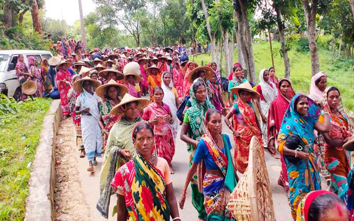 চা বাগান মালিকদের সঙ্গে বৈঠকে প্রধানমন্ত্রী