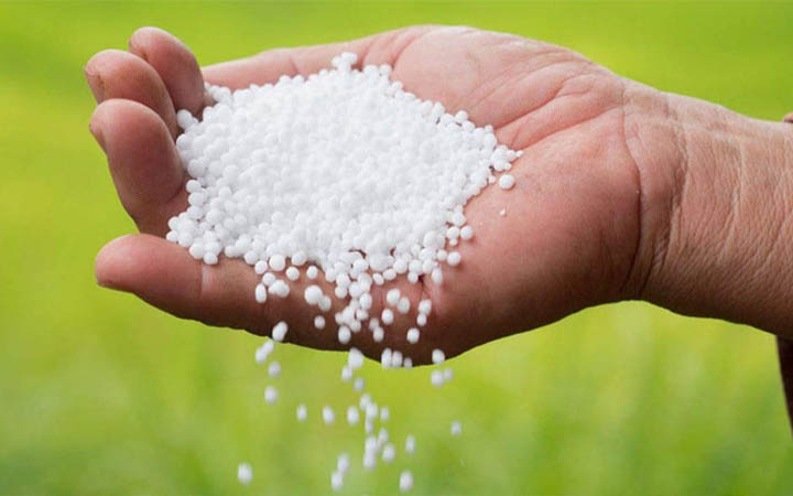 কাতার থেকে ৩০ হাজার টন ইউরিয়া আমদানি করবে সরকার