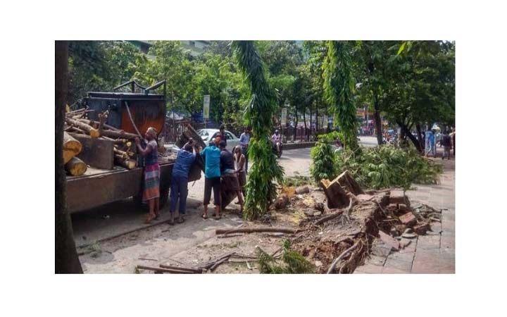 পানি নিষ্কাশন ও ঝড়ে ভেঙে পড়া গাছপালা অপসারণে কাজ করছে ডিএনসিসি