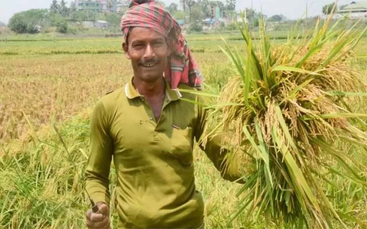 আবহাওয়ার সঠিক পূর্বাভাস কিভাবে বদলে দিতে পারে কৃষকের জীবন?