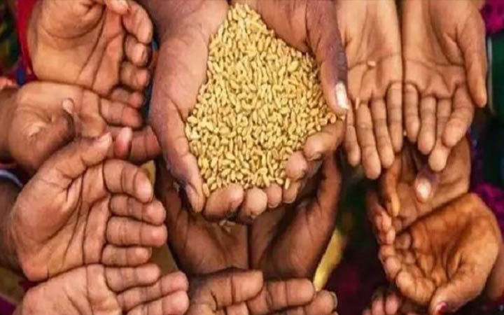 খাদ্য সঙ্কট নিরসনে বঙ্গবন্ধুর সবুজ বিপ্লব বাস্তবায়নের আহ্বান