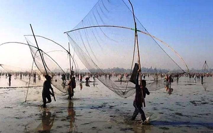 গাজীপুরের কালিয়াকৈরের কুয়াডাঙ্গা বিলে মাছ ধরতে মানুষের ভিড়