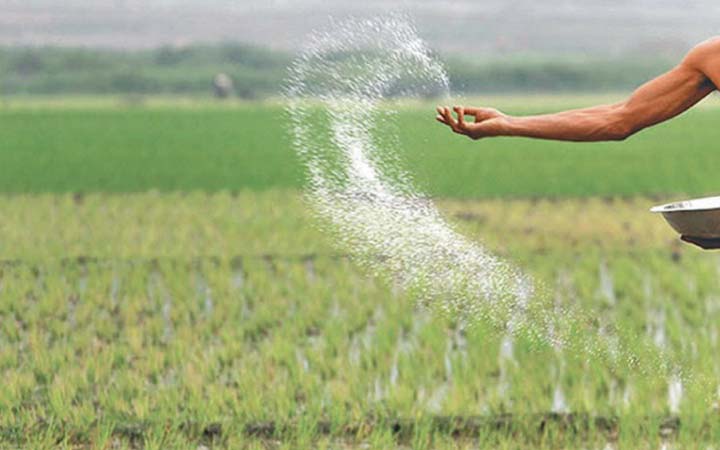 ৬০ হাজার টন সার কিনবে সরকার