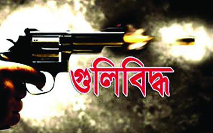 শিবপুর উপজেলা চেয়ারম্যানকে গুলি