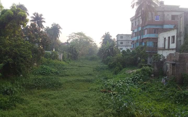 পাবনায় ১৩ টি  নদী মরে যাচ্ছে