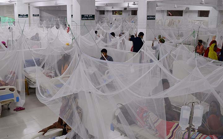 বাড়ছে ডেঙ্গুর প্রকোপ, সতর্ক থাকার পরামর্শ
