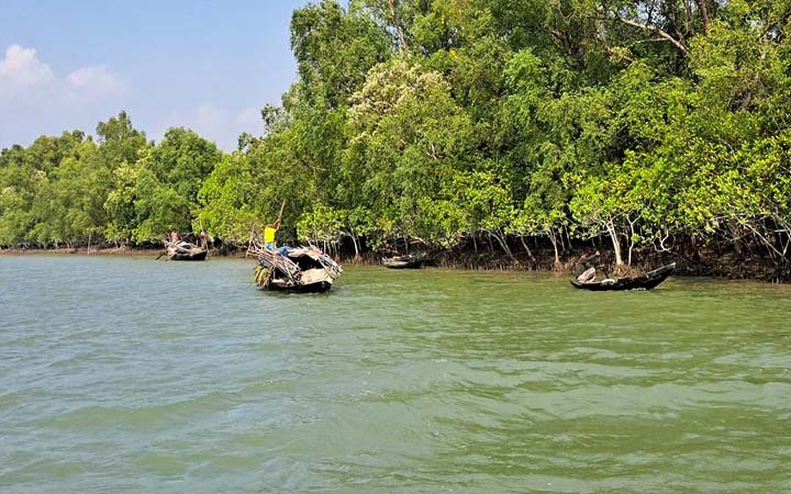 সুন্দরবনে মাছ ধরা ও পর্যটনে ৩ মাসের নিষেধাজ্ঞা ১ জুন থেকে