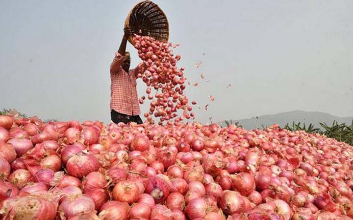 পেঁয়াজের কেজি প্রায় ১০০ টাকা