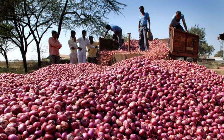 হিলি স্থলবন্দর দিয়ে ১০ হাজার টন পেঁয়াজ আমদানির অনুমতি