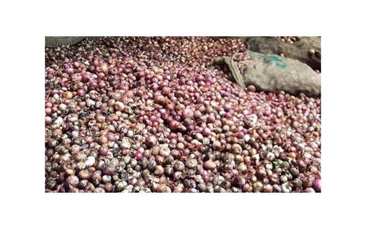 পচে যাচ্ছে ভারত থেকে আমদানি করা পেঁয়াজ
