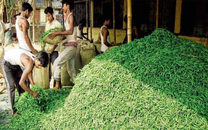 কলকাতায় কাঁচা মরিচের দাম ২০০ রুপি!
