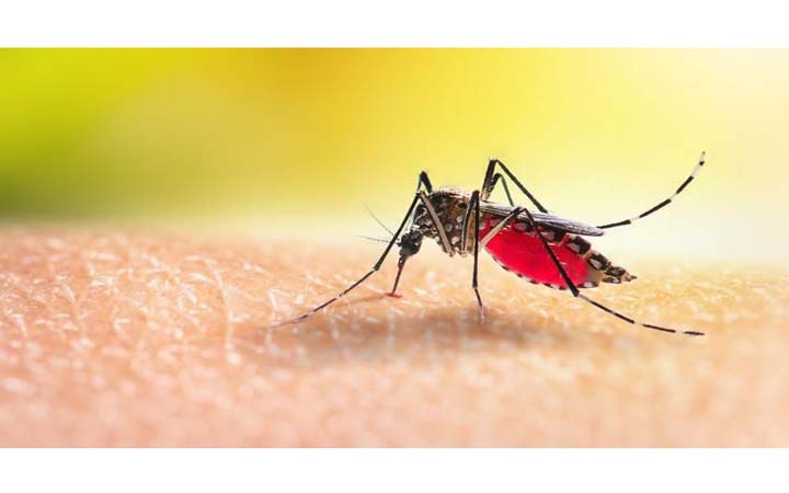 খুমেক হাসপাতালে ৬২ ডেঙ্গু রোগী ভর্তি