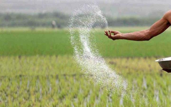 ২ লাখ ৬০ হাজার টন সার কিনবে সরকার