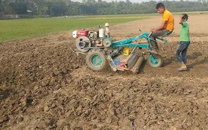 পাবনার চরাঞ্চালে চিনাবাদাম লাগানোই ব্যস্ত চাষীরা, বীজের দ্বিগুণ দামে হতাশ