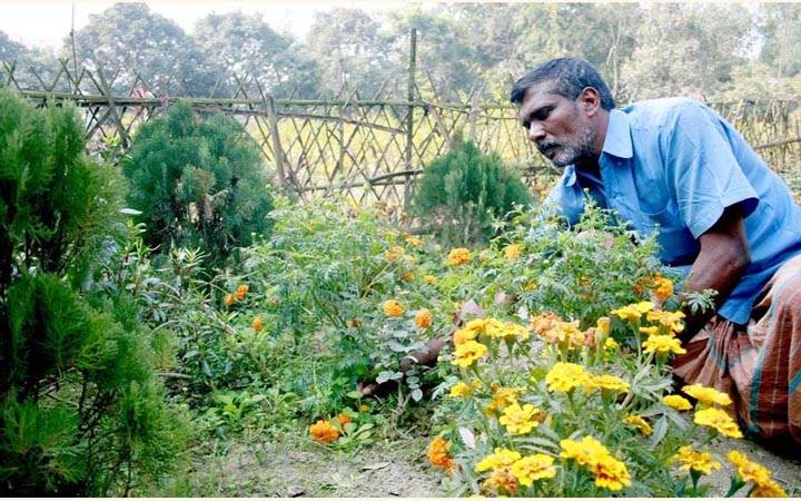 উত্তরাঞ্চলে ফুল বিক্রেতারা ১ বিলিয়ন টাকা লাভের আশা করছেন