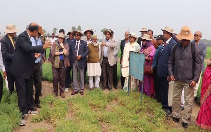ঈশ্বরদীতে ৩শ’ জাতের ডাল মাঠ পরিদর্শনে কানাডার হাইকমিশনার