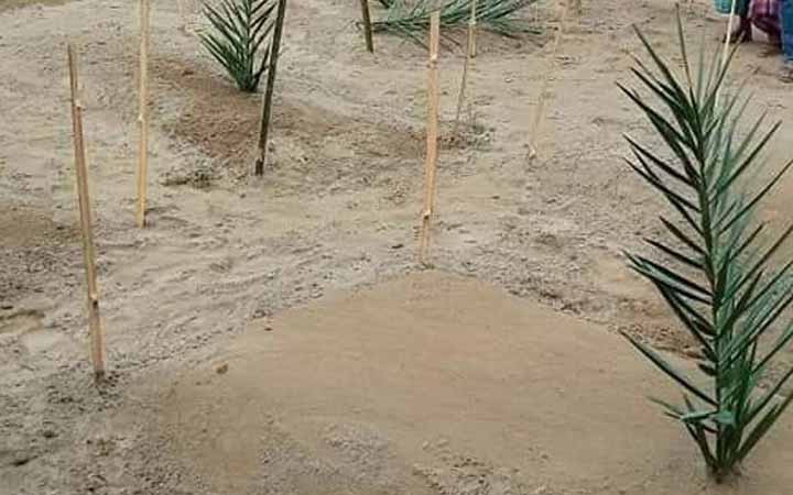কবরে খেজুর গাছের ডাল পুঁতে দেওয়া সম্পর্কে ইসলামী বিধান