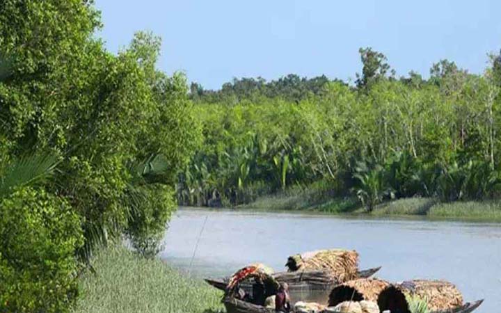 সুন্দরবনে ‘রেড অ্যালার্ট’ জারি
