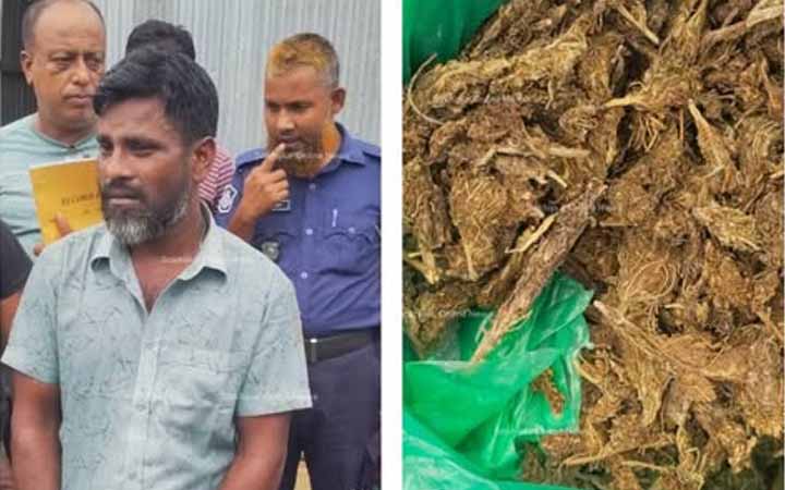 সখিপুরে গাঁজাসহ মাদক কারবারি গ্রেফতার