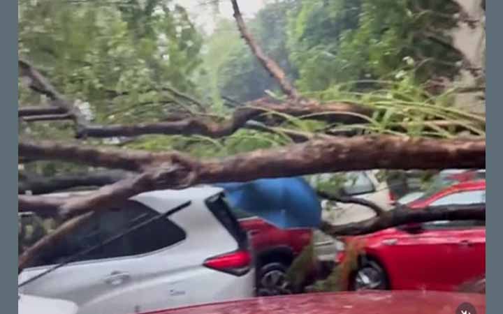 পশ্চিমবঙ্গে ঝড়-বজ্রপাতে ১৩ জনের মৃত্যু