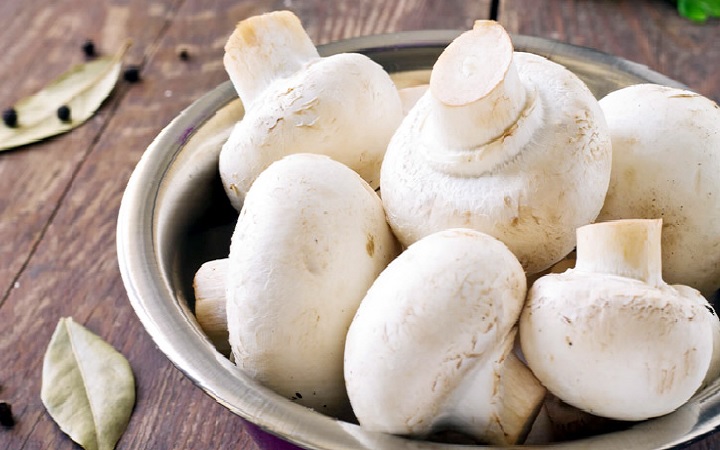 জেনে নিন মাশরুমের স্বাস্থ্য উপকারিতা