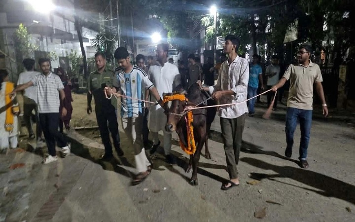 নিষেধাজ্ঞার প্রতিবাদে লাখ টাকার গরু নিয়ে জবিতে শিক্ষার্থীদের মিছিল