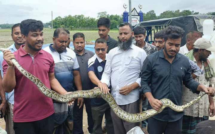 খাগড়াছড়িতে ৮ ফুট লম্বা অজগর উদ্ধার