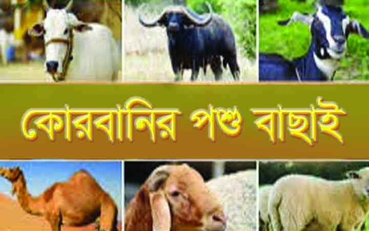 কোরবানি সম্পর্কিত গুরুত্বপূর্ণ মাসয়ালা