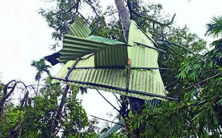 আকস্মিক ঘূর্ণিঝড়ে মানিকগঞ্জের তিনটিগ্রাম বিপর্যস্ত