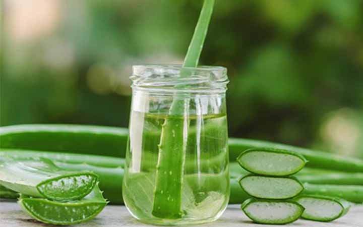 ত্বকের উজ্জ্বলতায় অ্যালোভেরার ব্যবহার