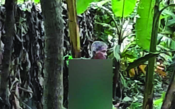 মাকে পাগল সাজিয়ে গাছের সঙ্গে বেঁধে নির্যাতন!