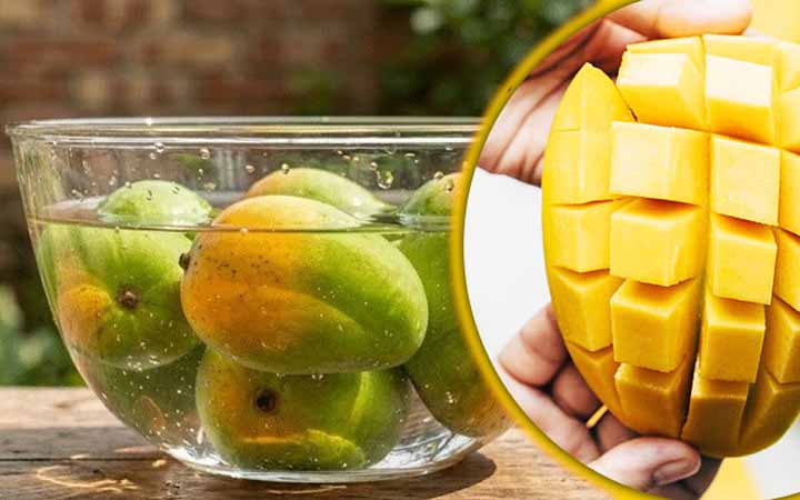 আম খাওয়ার আগে পানিতে ভিজিয়ে রাখার কারণ কি