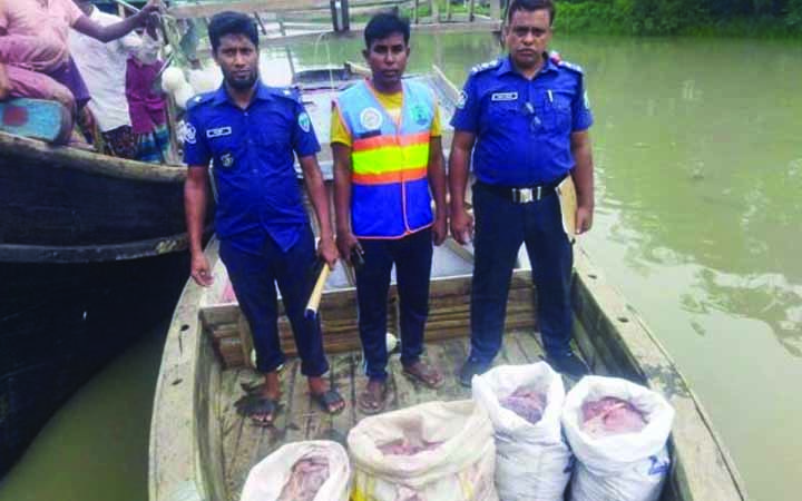 দুইশ কেজি হরিনের মাংস উদ্ধার পাথরঘাটা থেকে