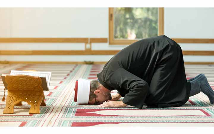 সিজদার আয়াত বাদ দিয়ে তিলাওয়াত করা যাবে কি?
