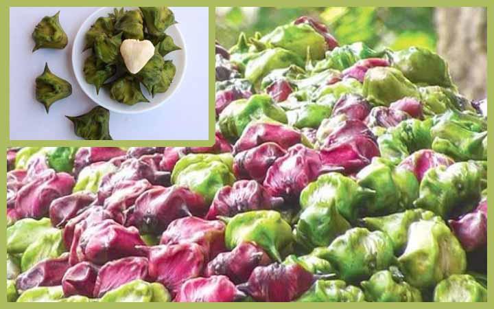 পানিফল স্বাস্থ্যকর হলেও অনেকের জন্যেই ক্ষতিকর