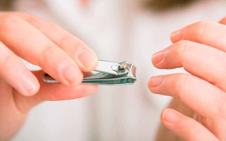 জিলহজ মাসের চাঁদ ওঠার পর থেকে কোরবানি পর্যন্ত চুল-নখ না কাটার বিধান